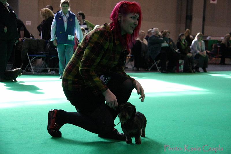 Crufts2011_2 885.jpg